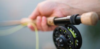 fly fishing