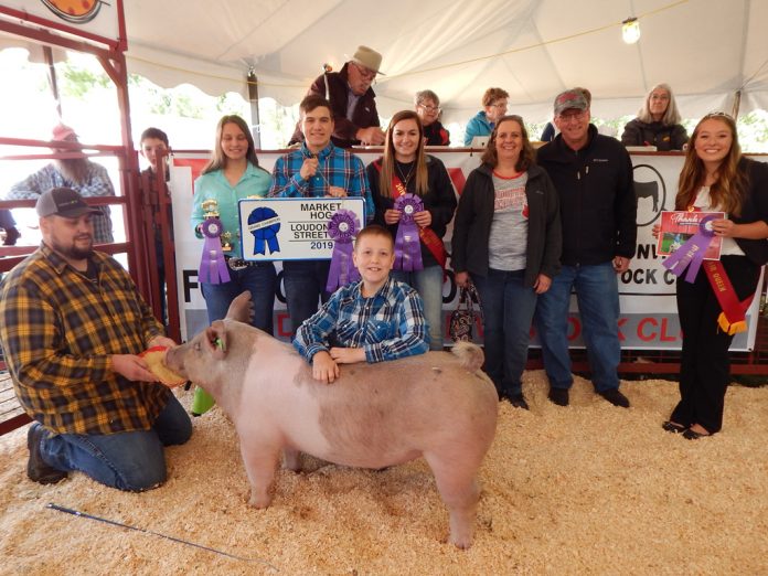 Loudonville Street Fair Grand Champion Hog Loudonville Street Fair Grand Champion Hog