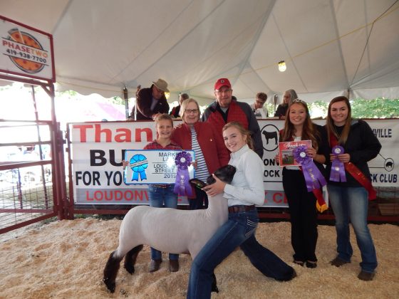 Loudonville Street Fair Grand Champion Lamb