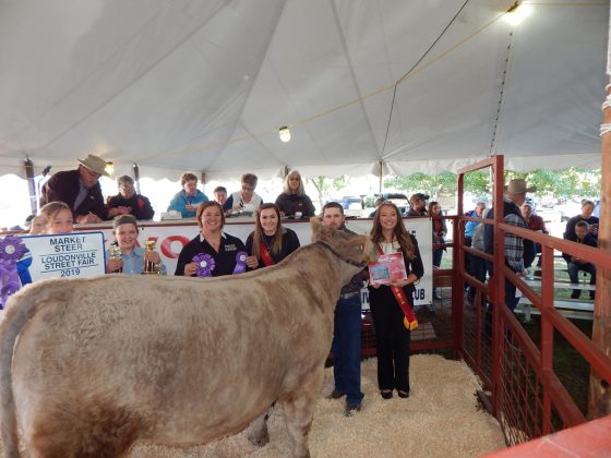Loudonville Street Fair Grand Champion Steer