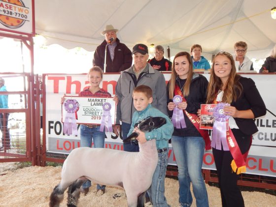 Loudonville Street Fair Reserve Champion Lamb
