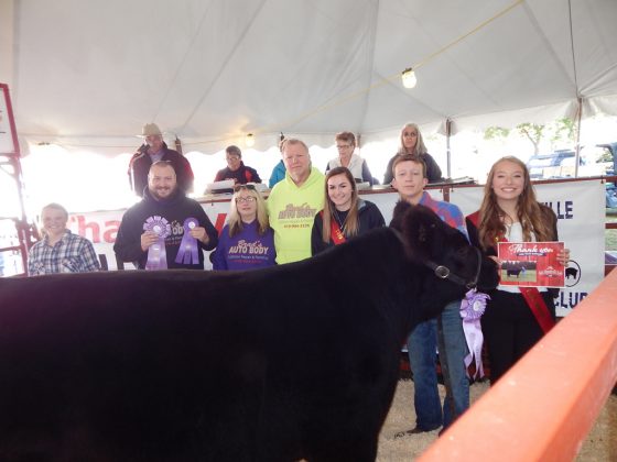 Loudonville Street Fair Reserve Champion Steer