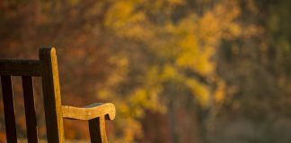 park bench