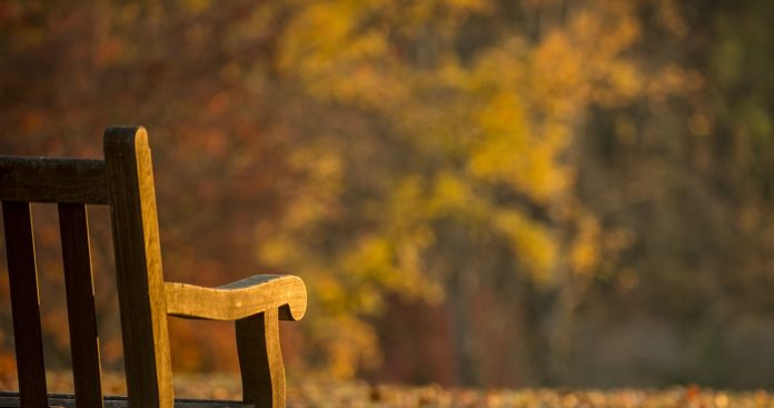 park bench park bench