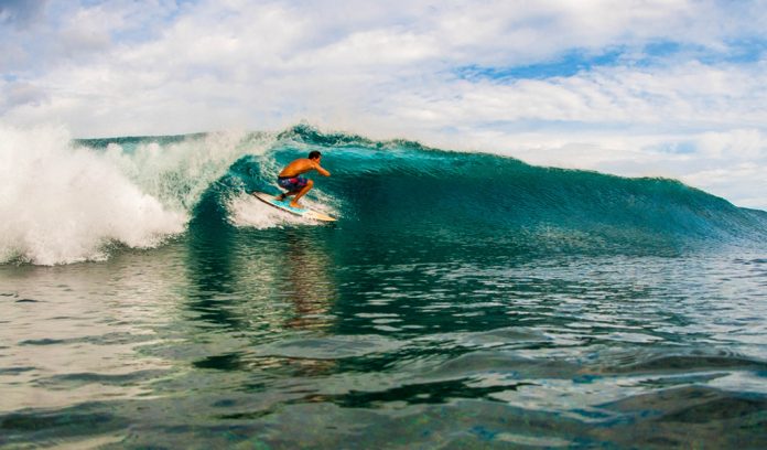 surfer_web surfer