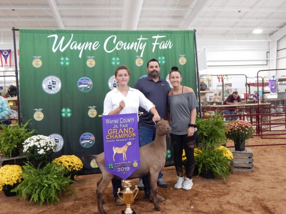 Wayne County Fair Grand Champion Dairy Goat