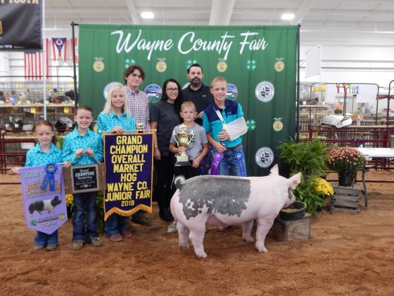 Wayne County Fair Grand Champion Hog