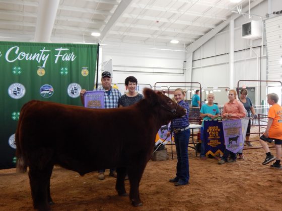 Wayne County Fair Reserve Champion Steer