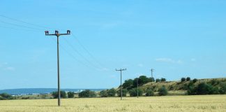 wheat-field with telephone wires