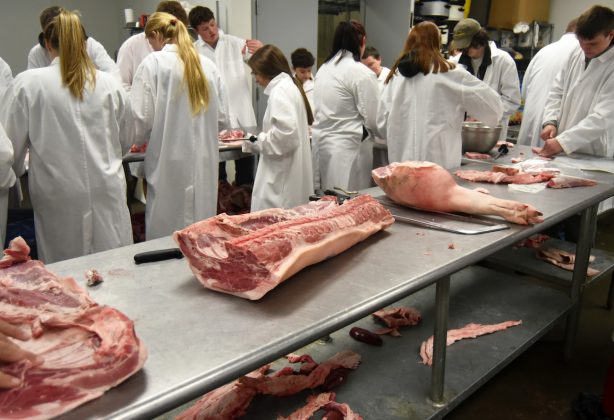pork cuts on table at Tyler HS