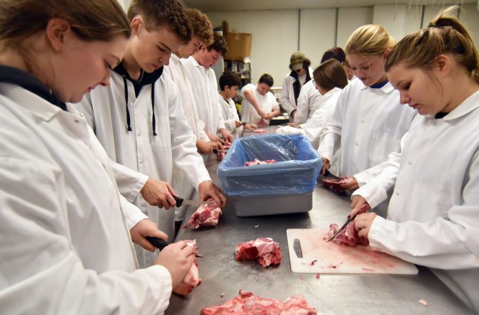 FFA class at Tyler Consolidated students cut up pig at Tyler HS