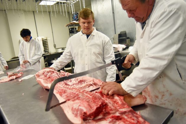 Teacher cutting up hog carcass