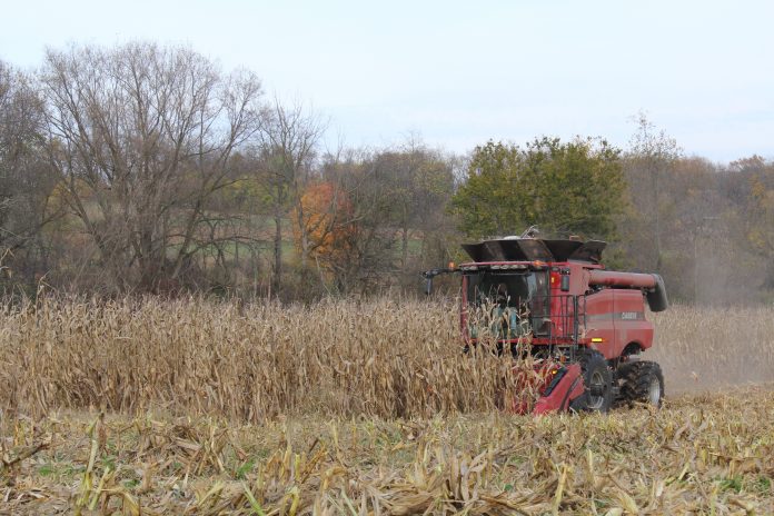 Corn harvest 2016 Corn harvest 2016