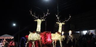 reindeer on lighted tractor