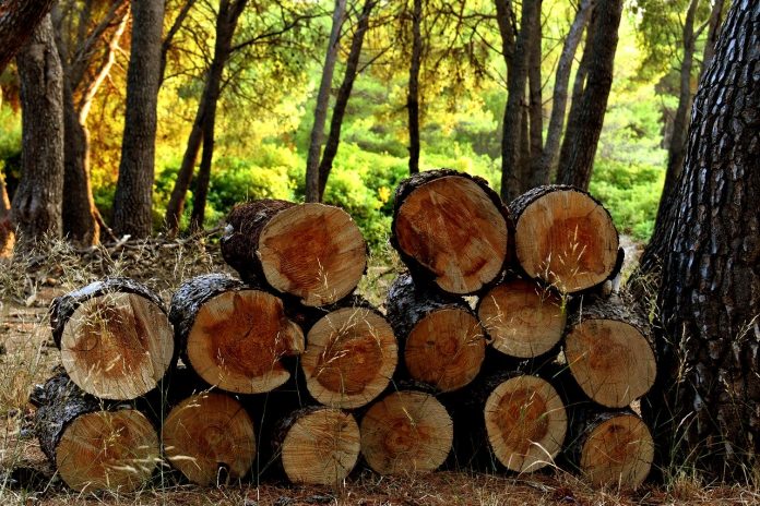 logs logs