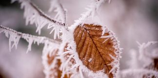 winter