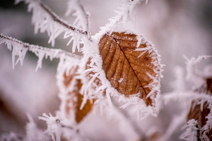winter winter