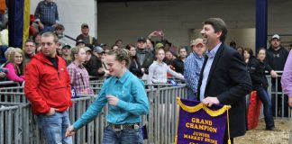 jr swine show grand champion