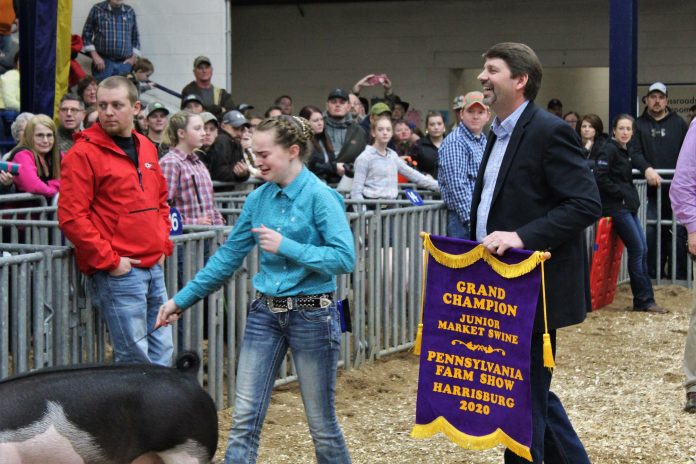 jr swine show pa farm show grand champion jr swine show grand champion