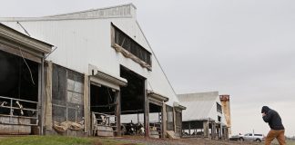 man walking into barn