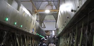 men in milking parlor