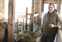 Life after dairy