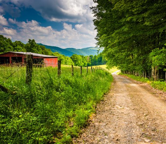 In West Virginia, ‘anything is a go, until it isn’t’ in dairy