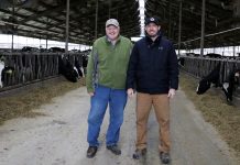 Go big or go out: the reality of milking 1,200 cows