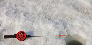 fishing
