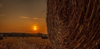 sunset on a hay bale