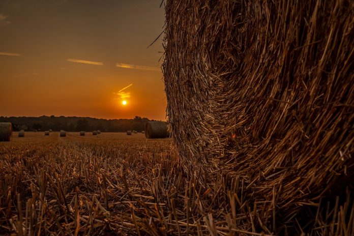 sunset on a hay bale sunset on a hay bale