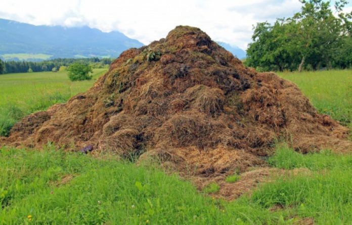 Manure