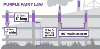 purple paint graphic