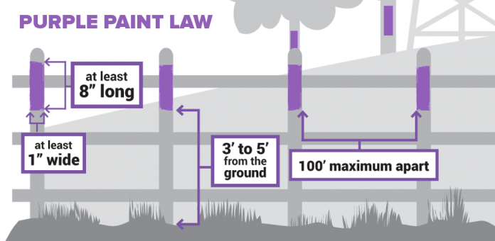 Purple-Paint-Graphic purple paint graphic