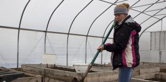 A woman works with a shovel in a raised growing bed in a high tunnel.