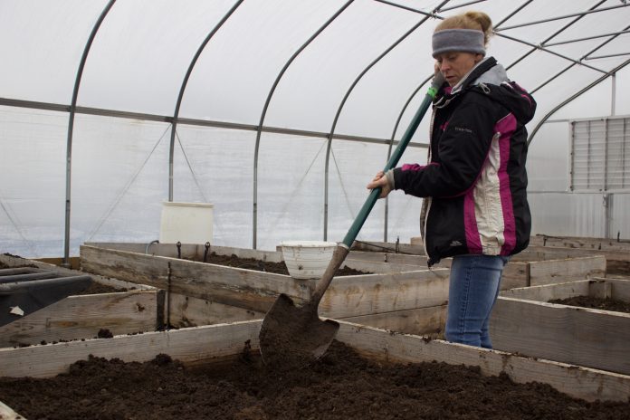 microfarm_7 A woman works with a shovel in a raised growing bed in a high tunnel.