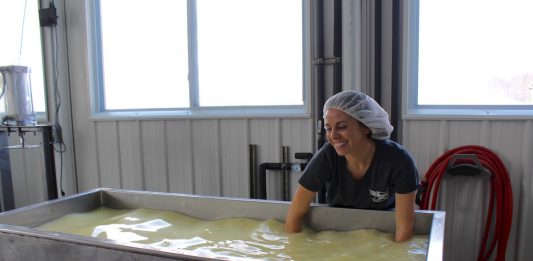 woman making cheese