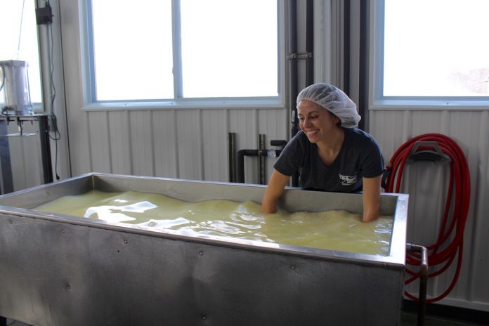 old-forge-1 woman making cheese