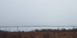 West Branch State Park