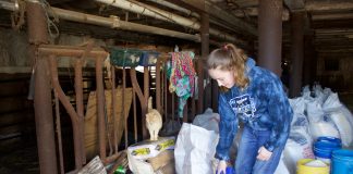 a girl scooping feed from a bag into a bucket.