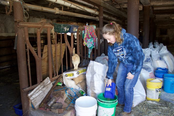 bts_3 a girl scooping feed from a bag into a bucket.