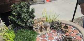 fairy garden