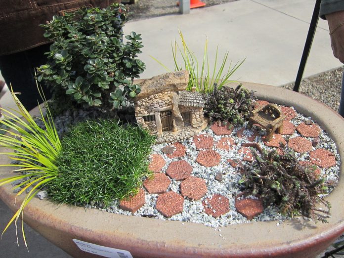 fairy garden fairy garden