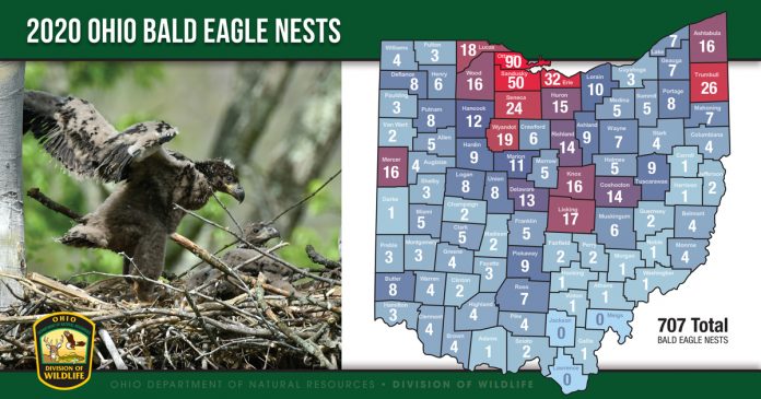 2020 Bald Eagle Nest Map 2020 Bald Eagle Nest Map