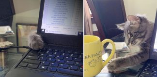 Kymberly Seabolt's home office