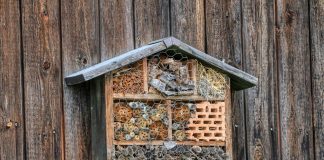 bee hotel