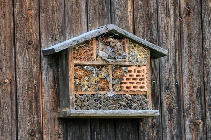 bee hotel bee hotel