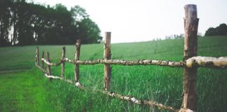 fence