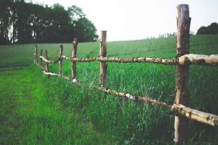 fence fence