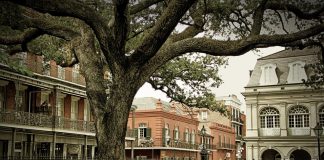 french quarter, New Orleans